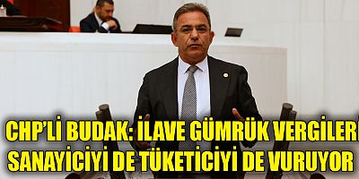 CHP'li Budak: 