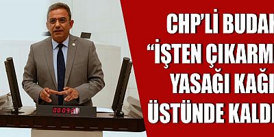 CHP'li Budak: 