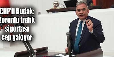 krizi daha da büyütecek