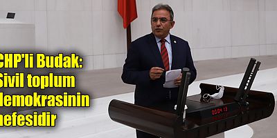 CHP'li Budak: Sivil toplum demokrasinin nefesidir