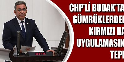 CHP'li Budak'tan gümrüklerdeki kırmızı hat uygulamasının yaygınlaştırılmasına tepki!