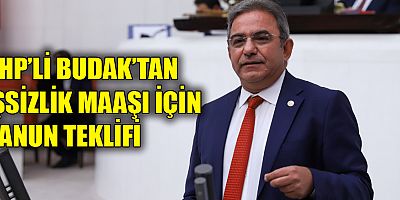 CHP'li Budak'tan işsizlik maaşı için kanun teklifi