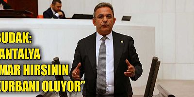 CHP'li Budak tarihe vurulan sondajı TBMM gündemine taşıdı