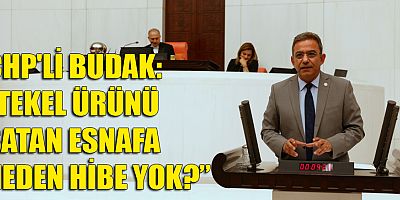 CHP'li Budak, Tekel bayilerinin durumunu TBMM'ye taşıdı