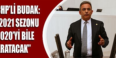 CHP'li Budak, 