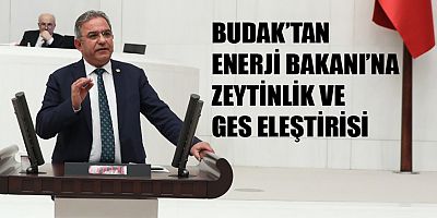 CHP'li Budak: Zeytinlik yönetmeliği, Meclise ve yasalara karşı hülledir