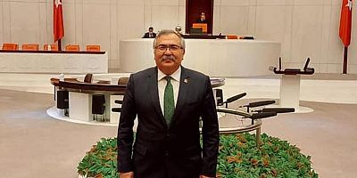 CHP'li Bülbül: Diyanet İşleri Başkanı zeytin talanına sustu