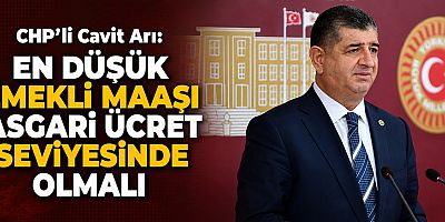 CHP'li Cavit Arı: En düşük emekli maaşı asgari ücret seviyesinde olmalı
