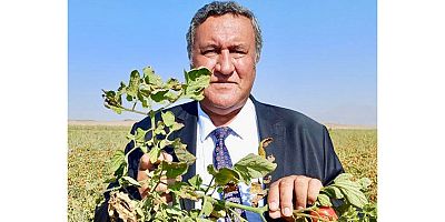 CHP'li Fethi Gürer: İcralar durdurulsun, çiftçi borçları ötelensin