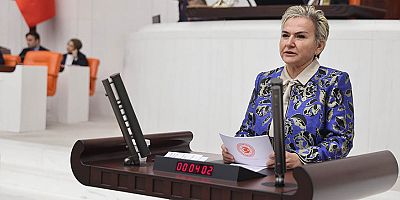 CHP’li İstanbul Mv. Nimet Özdemir Kırmızı Et Sektöründeki Kayıt Dışı Ekonomiyi TBMM Gündemine Taşıdı