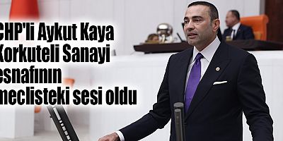 CHP'li Kaya Korkuteli Sanayi Esnafının Meclisteki Sesi Oldu