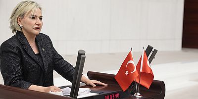 CHP’li Nimet Özdemir’den TBMM’de sert çıkış: “Türkiye şiddet sarmalına sürükleniyor”