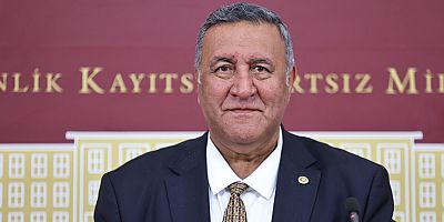 CHP'li Ömer Fethi Gürer'den Çin tuzu uyarısı: Bağımlılık yapıyor
