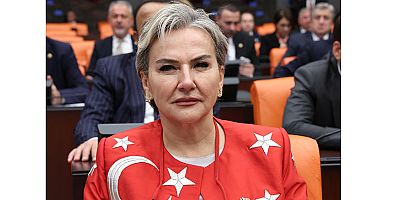 CHP’li Özdemir’den MEB’e “Rehabilitayon hizmetlerinde yaş sınırı” tepkisi
