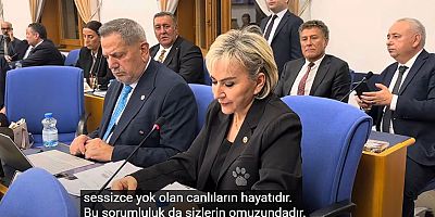 CHP’li Özdemir’den Tarım Bakanı’na Sahipsiz Hayvanlar İçin Soru Yağmuru