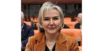 CHP'li Özdemir Türkiye'de kayıp çocukları Meclis'e sordu