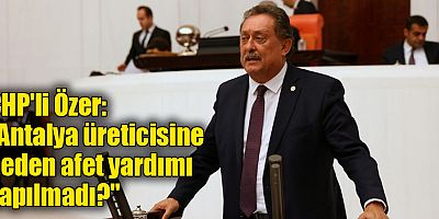 CHP'li Özer, 