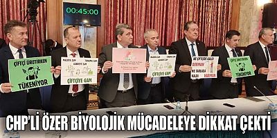 CHP'li Özer: 