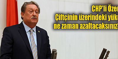 CHP'li Özer: Çiftçinin üzerindeki yükü ne zaman azaltacaksınız?