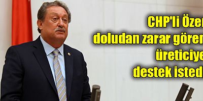 CHP'li Özer doludan zarar gören üreticiye destek istedi