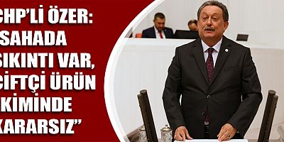 CHP'li Özer, 