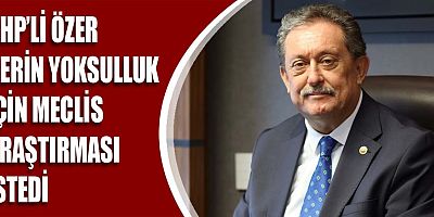 CHP'li Özer: 