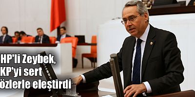 CHP'li Zeybek, AKP'yi sert sözlerle eleştirdi