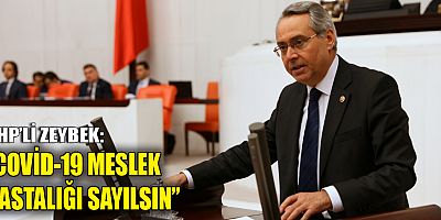 CHP'li Zeybek: 
