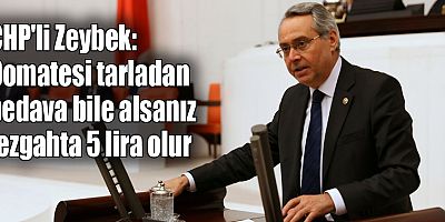 CHP'li Zeybek: Domatesi tarladan bedava bile alsanız tezgahta 5 lira olur
