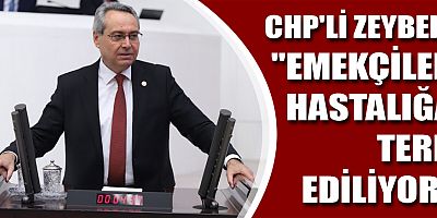 CHP'Lİ ZEYBEK, 