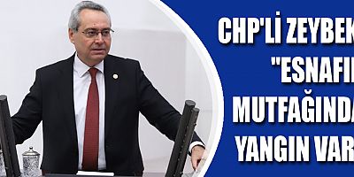 CHP'li Zeybek, 