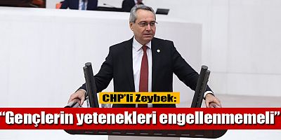 CHP'li Zeybek, 