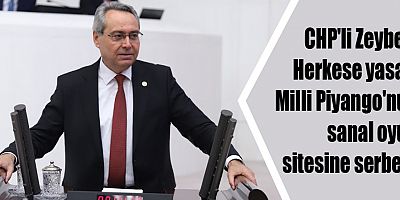 CHP'li Zeybek: Herkese yasak, Milli Piyango'nun sanal oyun sitesine serbest