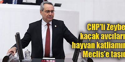 CHP'li Zeybek kaçak avcıların hayvan katliamını Meclis'e taşıdı
