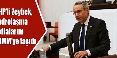 CHP'li Zeybek, kadrolaşma iddialarını TBMM'ye taşıdı