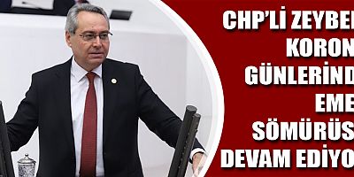 CHP'li Zeybek, 