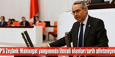 CHP'li Zeybek: Manavgat yangınında ihmali olanları tarih affetmeyecek