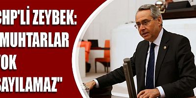 CHP'li Zeybek: 