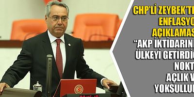 CHP'li Zeybek'ten enflasyon açıklaması