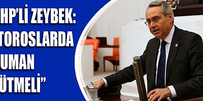 CHP'li Zeybek: 
