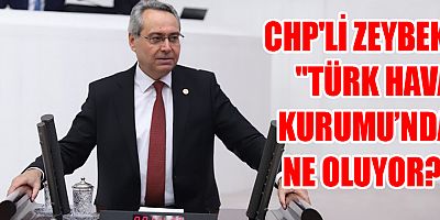 CHP'li Zeybek: Türk Hava Kurumu'nda neler oluyor?
