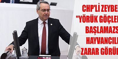 Zeybek: 