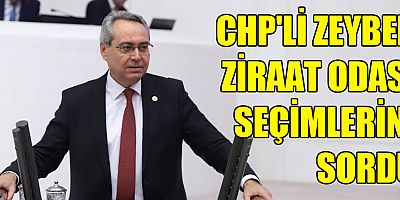 CHP'li Zeybek Ziraat Odası seçimlerini sordu