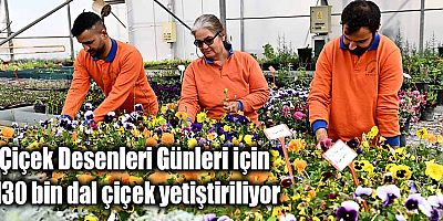 Çiçek Desenleri Günleri için 130 bin dal çiçek yetiştiriliyor