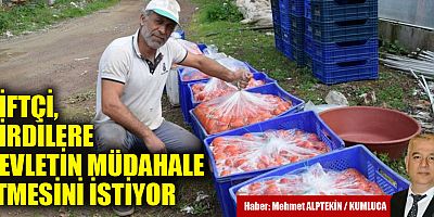 Çiftçi, girdilere devletin müdahale etmesini istiyor