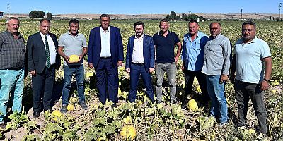 Gürer: “Tarlada üründe sorun çok”