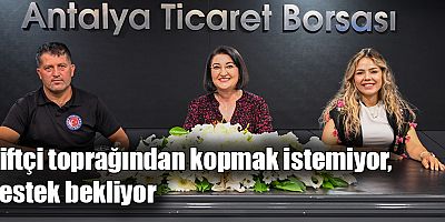 Çiftçi toprağından kopmak istemiyor, destek bekliyor
