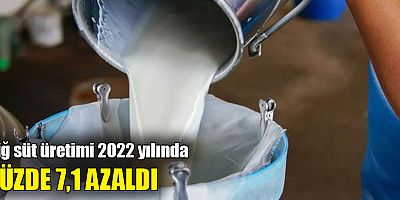 Çiğ süt üretimi 2022 yılında yüzde 7