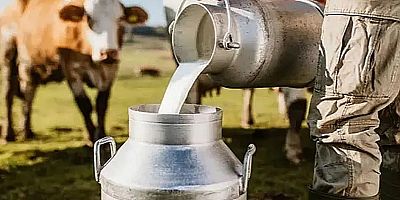 Çiğ süt üretimi 2025 yılında %4,9 azalarak 21 milyon 379 bin 88 ton oldu