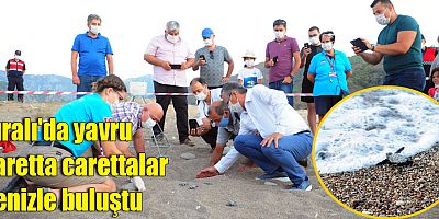 Çıralı'da yavru caretta carettalar denizle buluştu